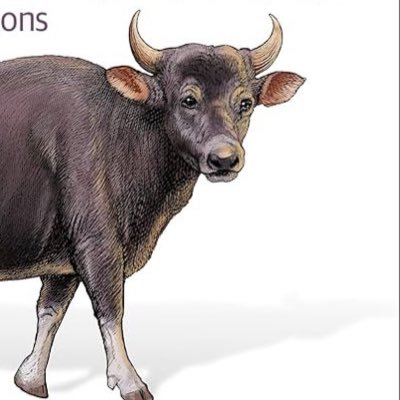 marketagentX's profile picture. 