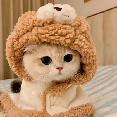 @web3naisi