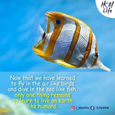 sanyadav15's profile picture. #EX-Assistant professor 
#M-TECH
#सत्य और केवल सत्य का पोषक