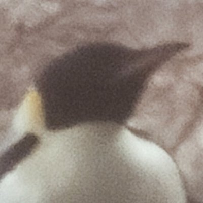 yuuuu573's profile picture. 履修中🏃