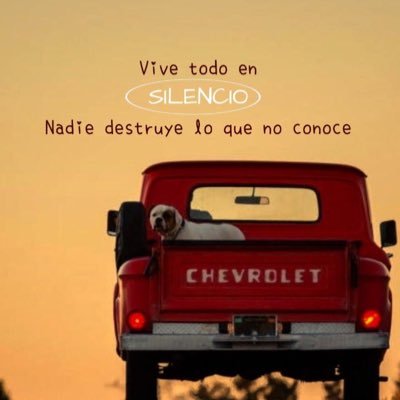 BocaEFa16's profile picture.