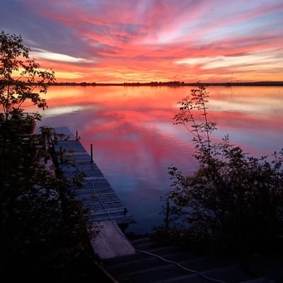 terry_link's profile picture. 