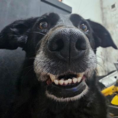PablitoLibertad's profile picture. 