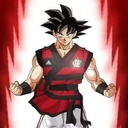ClaudioVitorDev's profile picture. Flamengo ❤️🖤
