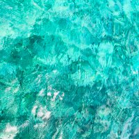 . (@jeqx8x7wu6fcvv1) 's Twitter Profile Photo