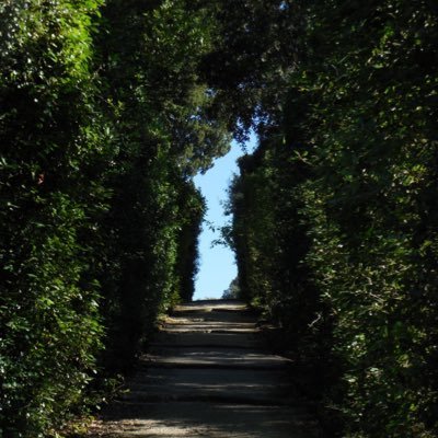 shahad_law3's profile picture. القضاء الطبي/ "ولم أخشَّ لومة لائمٍ وإن صفت نفسي وقلبي"