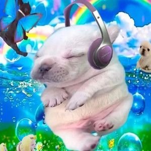 GucaIsHere's profile picture. creador ugc que sube items chistosones