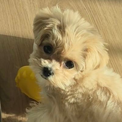 lltorm__o's profile picture. ㄹㅌ