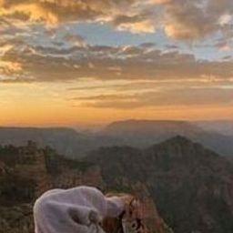 Ydwanard957461's profile picture. 