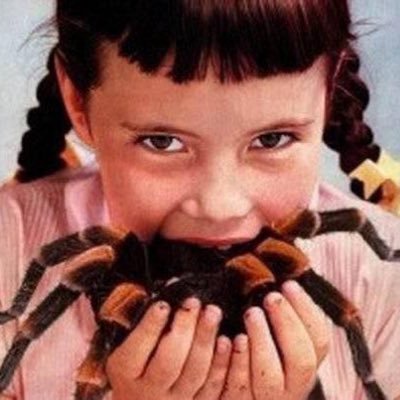 AlmaMaderoNoFue's profile picture.