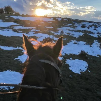 zgaoq14545283's profile picture. 日本文化の中に生活の別の美学を見出しています。もっと多くの日本の友達ができて、この文化をより深く理解し、愛することができることを期待しています。日本に来たばかりでまだ不慣れですが、心からどなたかご指導いただけたらと願っています。🌸