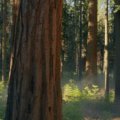 bsbqsx's profile picture. 