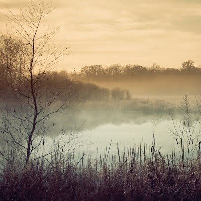 GefanL59876's profile picture. hhh