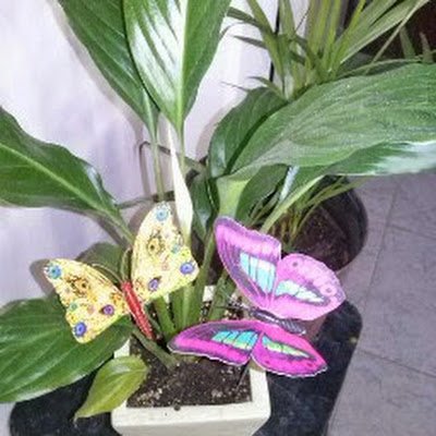 CanosaKath13203's profile picture. 