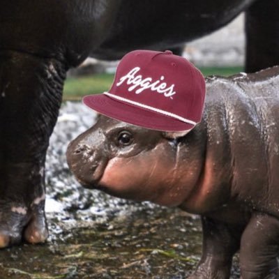 AggieGirl2212's profile picture. A&M alum | lib | marcel truther since day 1