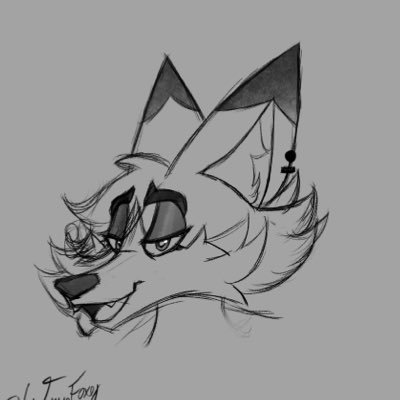 WynnFoxy's profile picture. 24 (25 on May 14th, 2026) pfp by me
Name is Foxy :3
bisexual ahh foxy 
Furry artist 
Suggestive AF 
Braixphile/Delphoxphile 
I have an 18+ alt. 
Not taken
