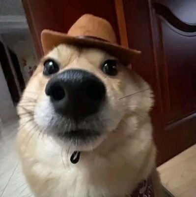 ToBeEleven's profile picture. ____________
|\                       \
 \|\        \//////
   \|\        \____
     \|\                \ aggot
       \|\        \///
         \|\   i