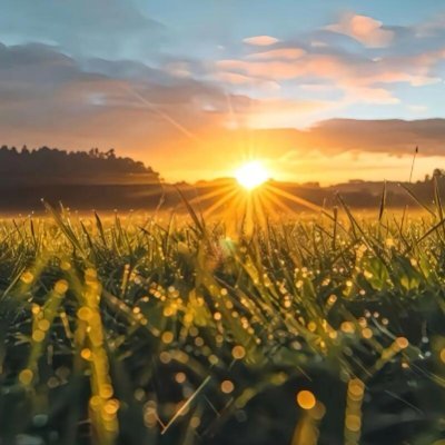 xdiej45154397's profile picture. 静かに力強い存在。