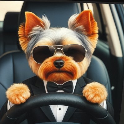 JanuszPolsky's profile picture. 🇵🇱🇪🇺