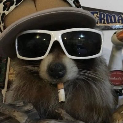 CIasssyy's profile picture. 