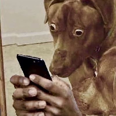 ReDegliOscuriYT's profile picture. https://t.co/XfDyx7zmfV