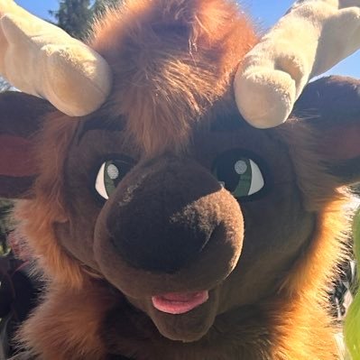 jockmoose's profile picture. 🔞 20 | Gay | Antlered twunk | DM friendly! Moots hmu 🙋‍♂️Ask for main