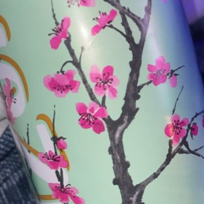 BraytenCer51028's profile picture. 