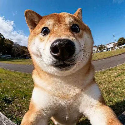 S9hssz2nkK54156's profile picture. 