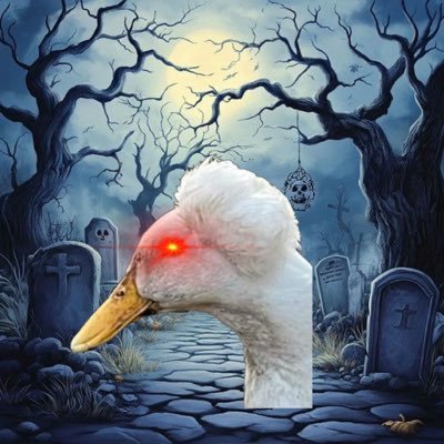 TheFredmeister's profile picture. Millennial • Reply Guy • lover boy