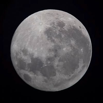 JessElena87's profile picture. 