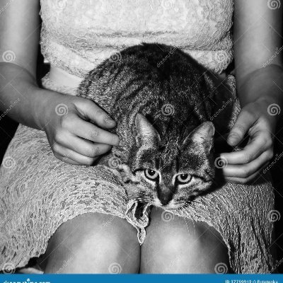 Art_in_Analog's profile picture. 