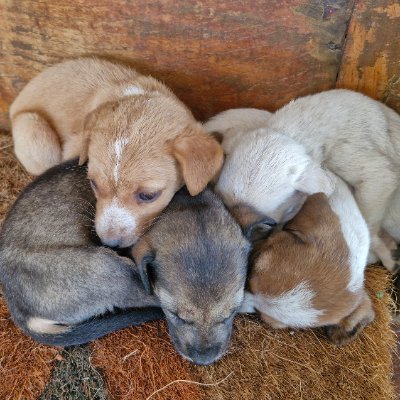 nini72726's profile picture. Crypto
Part of the @DataHaven_xyz community"