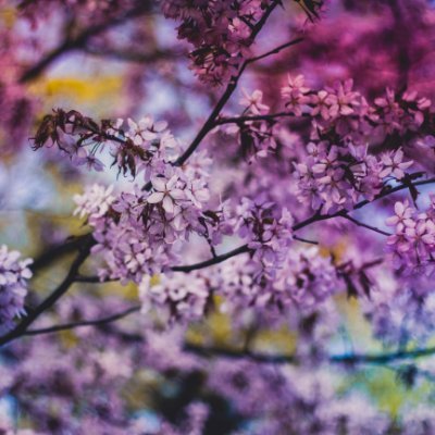 disc0veringy0u's profile picture. in my hatewatch era with 9-1-1.  #bobbyalivemaxxing a little too close to the sun.  sometimes i write things now because i yearn to right tim minear's wrongs 💀