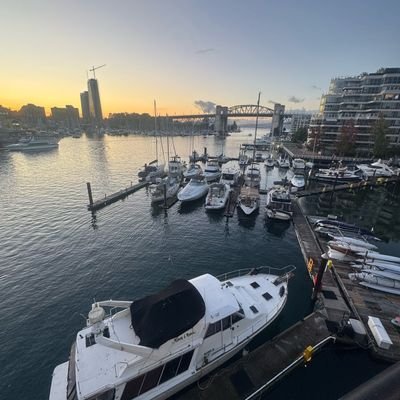 IbraheemAyodejy's profile picture. Microbiologist//Scriptwriter//Teacher//Website developer.