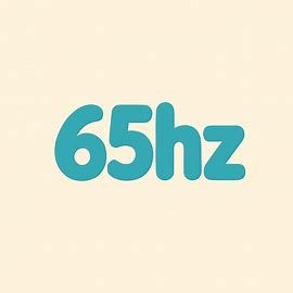 @_65hz