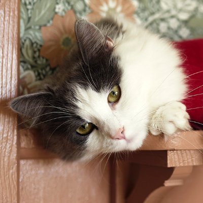 Publishing66752's profile picture. 