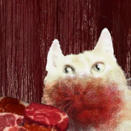 faesdow's profile picture. silly mortal