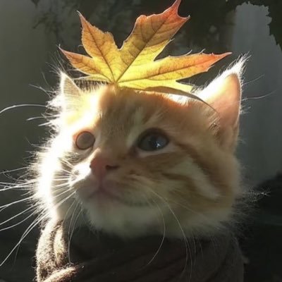 solluna_lumen's profile picture. ‘09 digital artist and fanfic author. multifandom.