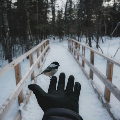 BrianBentleyson's profile picture.