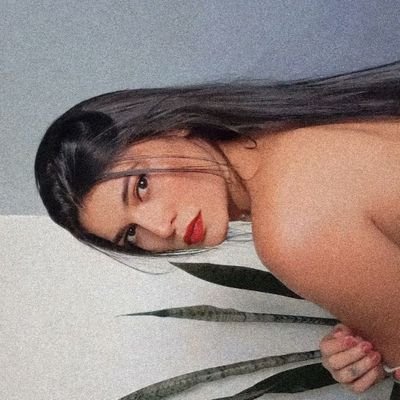 fgfmoure's profile picture. não respondo dm