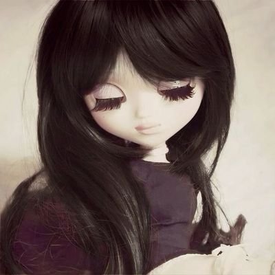 tootiredtobite's profile picture. yap is my cardio