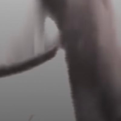 ForentinoB46298's profile picture. 