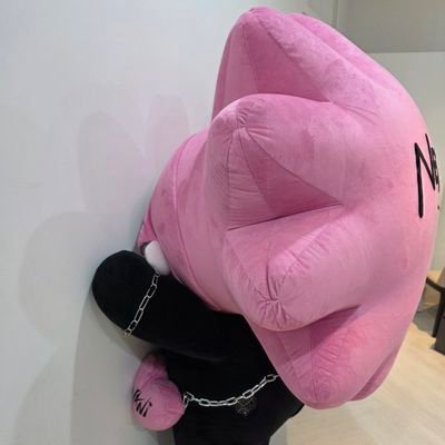 L_emon_ade127's profile picture. Homophobic DNI 🏳️‍🌈
SKYNANI💙🩷