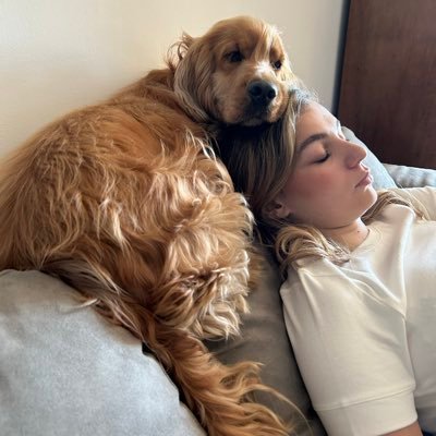 alicedecastel's profile picture. 