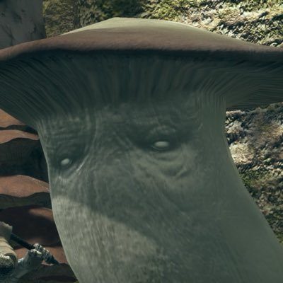 mmmrmmm_0000's profile picture. 