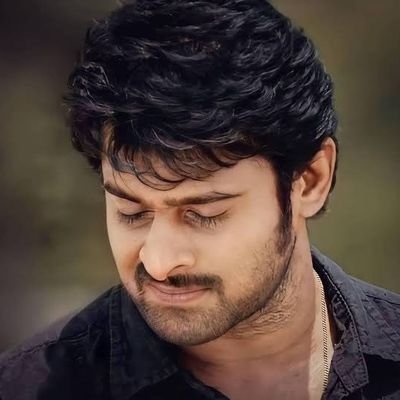 ShahidBoltey's profile picture. 