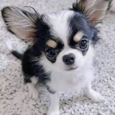 marianne_332's profile picture. 