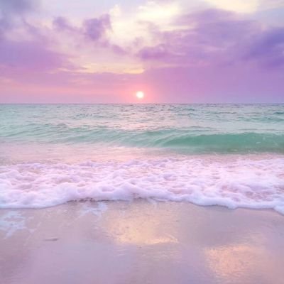 jyoti330177's profile picture. 