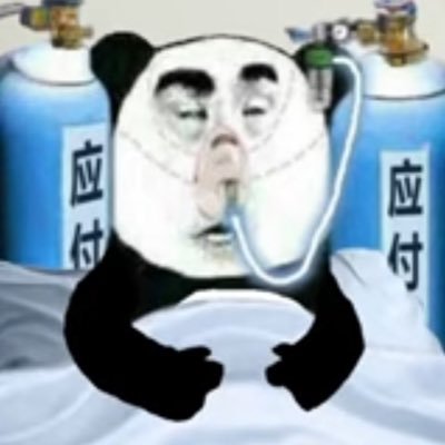pandahank41's profile picture. From Taiwan🇹🇼 living in LA. #1 @swish41 fan in the universe. A @luka7doncic fan for life. A broken fan who will be saved by @paigebueckers1 & @cooper_flagg.