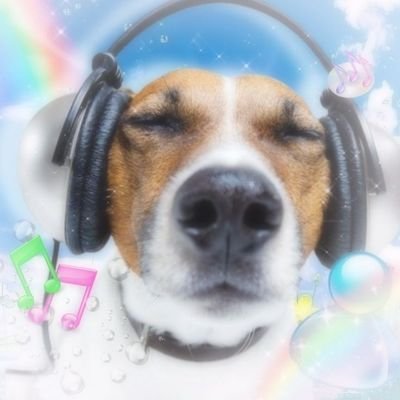 Pachi1083756's profile picture. 26🇨🇱 tøp enjoyer
He/Him/Re/Sce/ne
🌹🐚🫧🌱💄